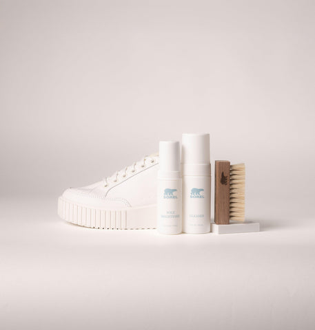 Essential Shoe Care Kit