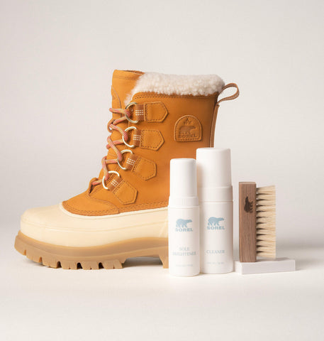 Essential Shoe Care Kit