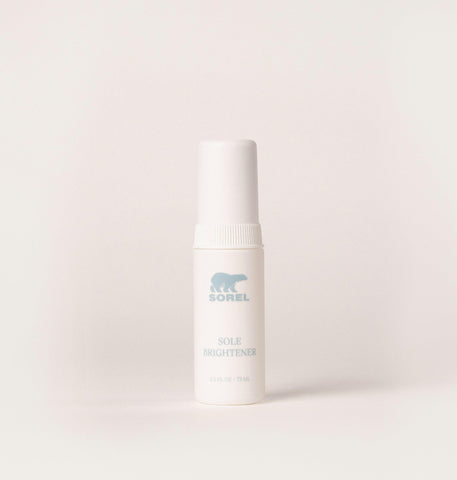 Essential Shoe Care Kit